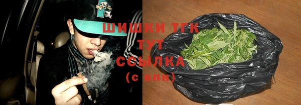 стаф Лабытнанги