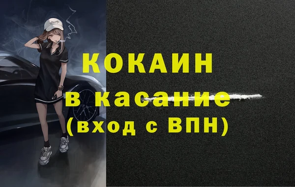 прущие грибы Корсаков