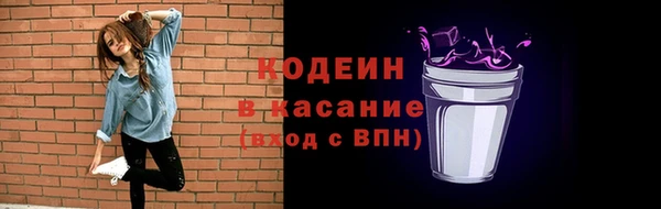 хмурый Лагань