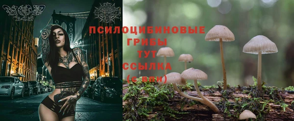 хмурый Лагань